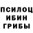 Псилоцибиновые грибы Psilocybe Night Lazuli