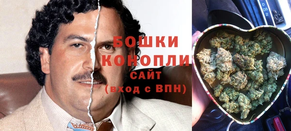 спиды Арсеньев