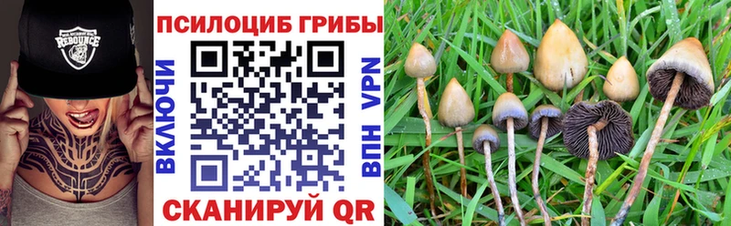 даркнет сайт  Борзя  даркнет клад  Галлюциногенные грибы GOLDEN TEACHER 